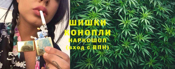 PSILOCYBIN Богородск